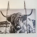 Schwarzwaldliebe