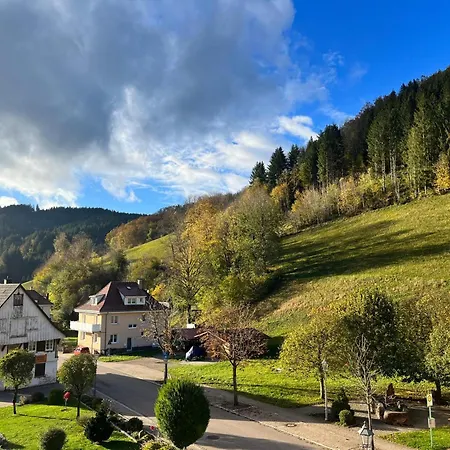 Schwarzwaldliebe Lejlighed *